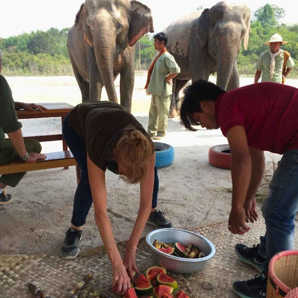 A Unique Experience with Elephants Join Our Elephant Tour – Meet the elephants of Angkor and learn how we care for them on this unforgettable tour.