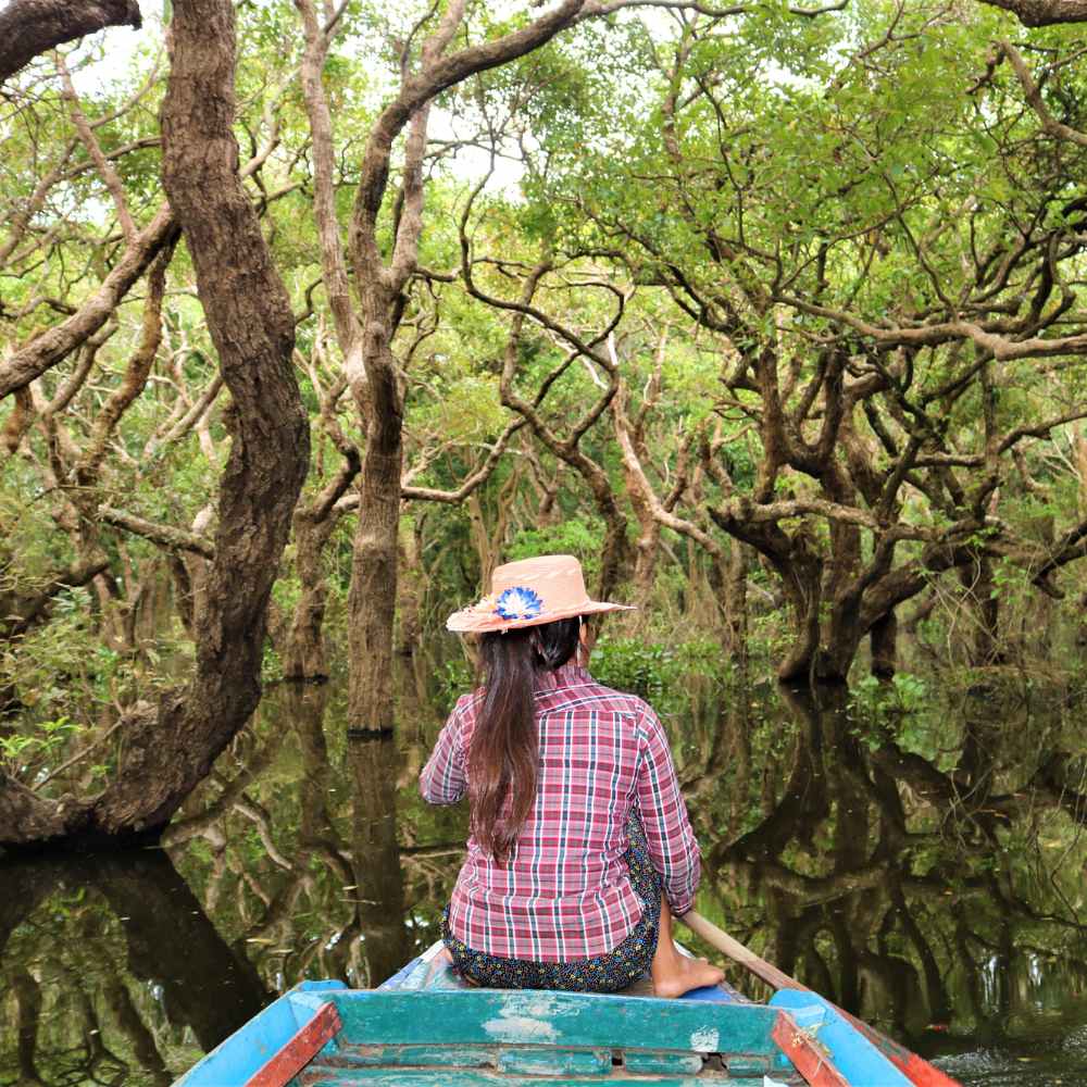 Seasonally Flooded Forest – Witness the unique ecosystem where millions of fish spawn, supporting diverse wildlife, including water birds.