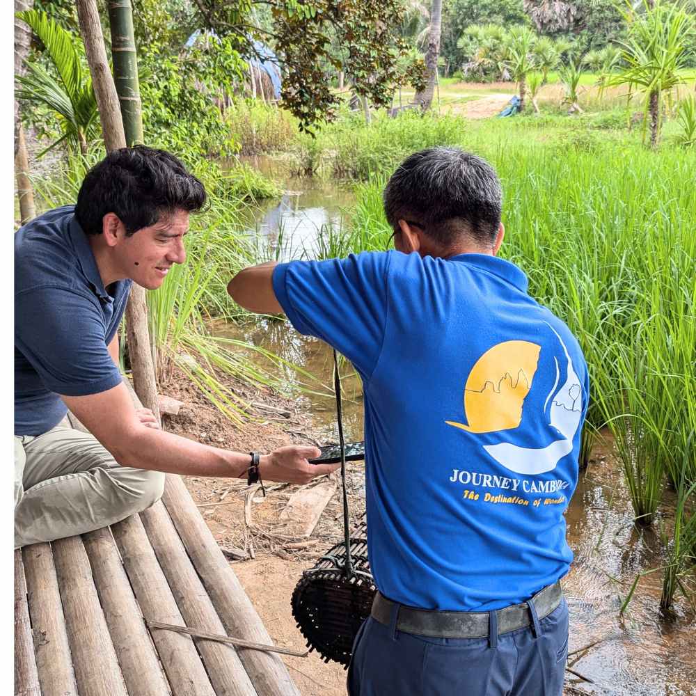 Walk through rice paddies – Stroll through lush rice fields and observe local farming activities.