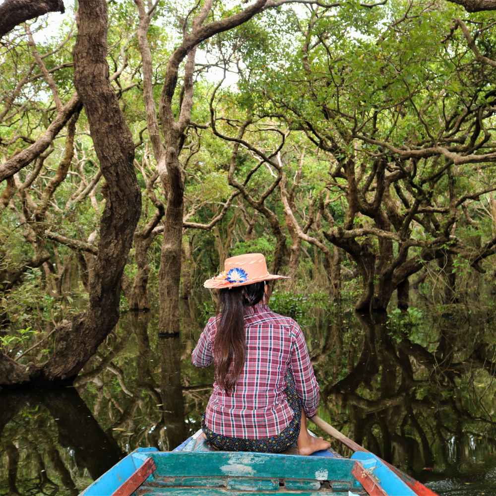 Flooded forest exploration – Experience the serene beauty of the flooded forest, drifting in small wooden boats.