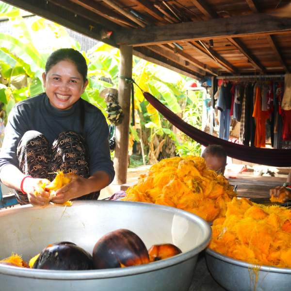 Combine the best of Cambodia with multi-destination tours across Siem Reap, Phnom Penh, and more at JourneyCambodia.com