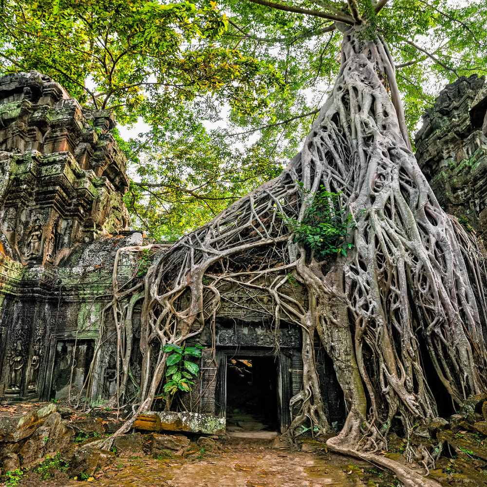 Ta Prohm – The Tomb Raider Temple