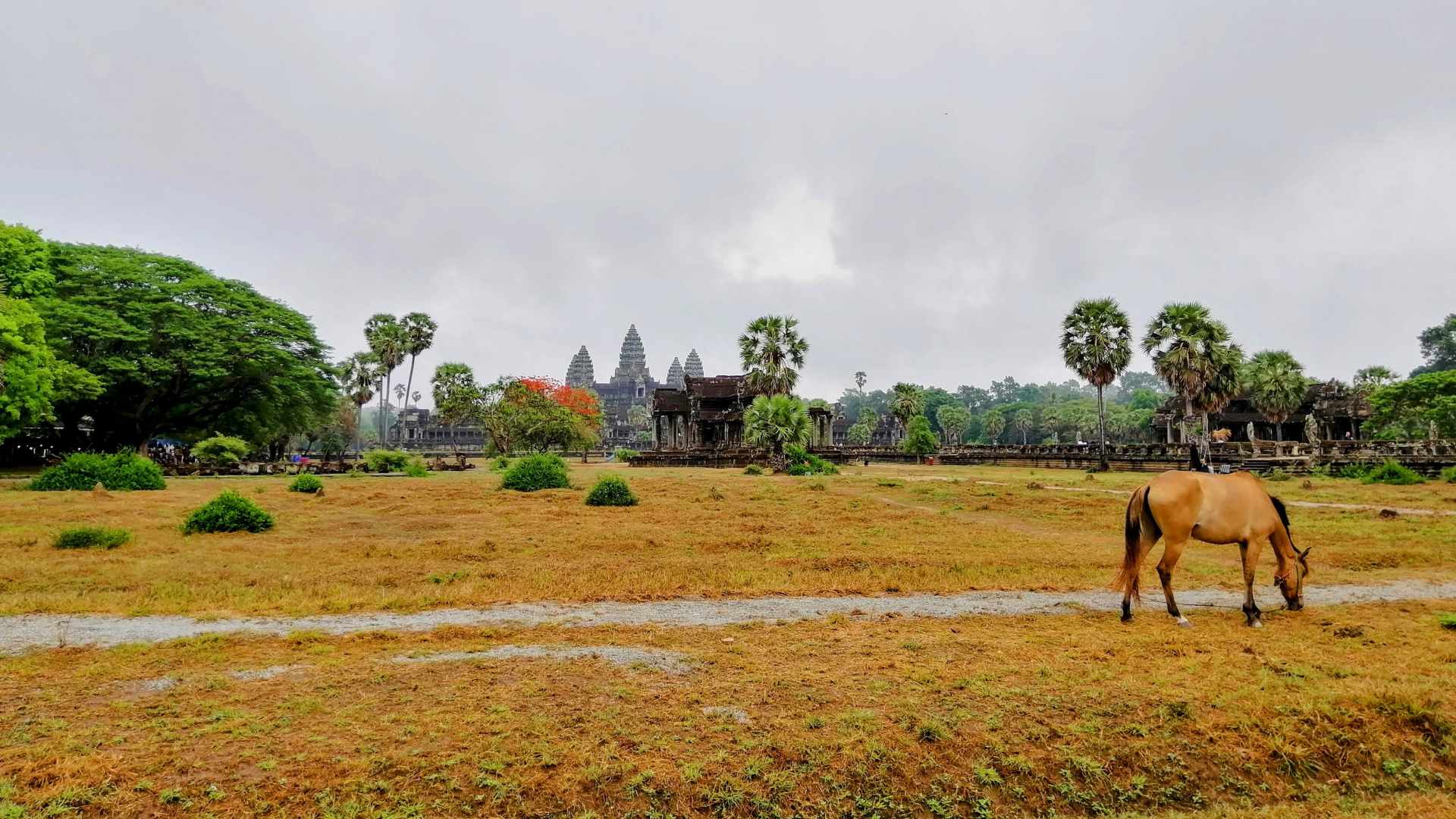 Best Full-Day Angkor Wat Tour Including Ta Prohm and Bayon