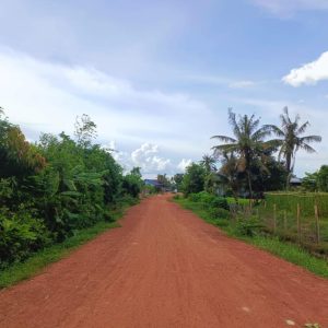 Siem Reap Countryside Tour - See Real Cambodia, Walk Through Rice Fields, Talk with Locals, Watch the Sky Explode in Color.