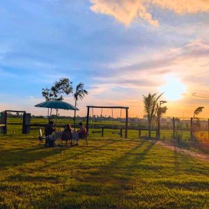 Golden Hour Hits Different Out Here - Cruising through the rice fields as the sun begins its slow descent