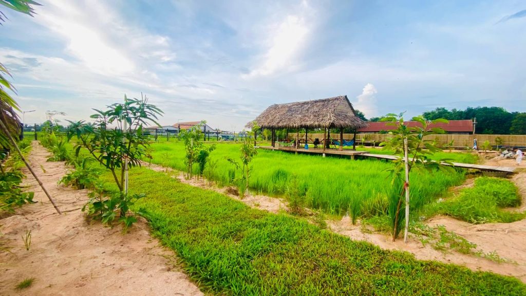 What is the weather like during different months - Is it better to visit Siem Reap in the dry or rainy season - A view of Baitang SIEM REAP in July