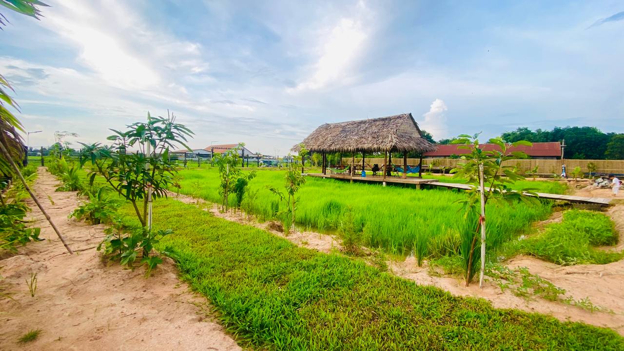 What is the weather like during different months - Is it better to visit Siem Reap in the dry or rainy season - A view of Baitang SIEM REAP in July