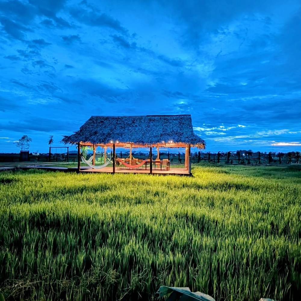 Siem Reap Weather in August -The rain isn’t your problem—timing is