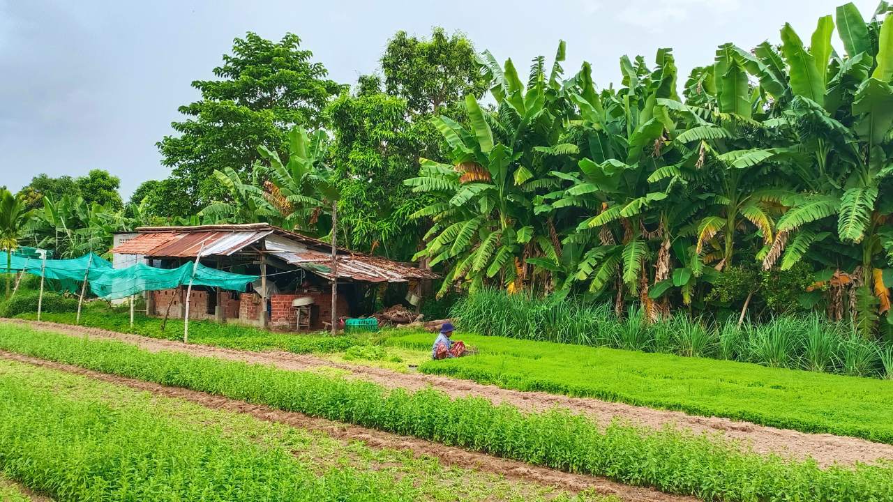 Post-conference tours for business events in Siem Reap - From Meeting Room to Angkor Temples and Floating Villages and Countryside The Post-Conference Tours Everyone Talks About