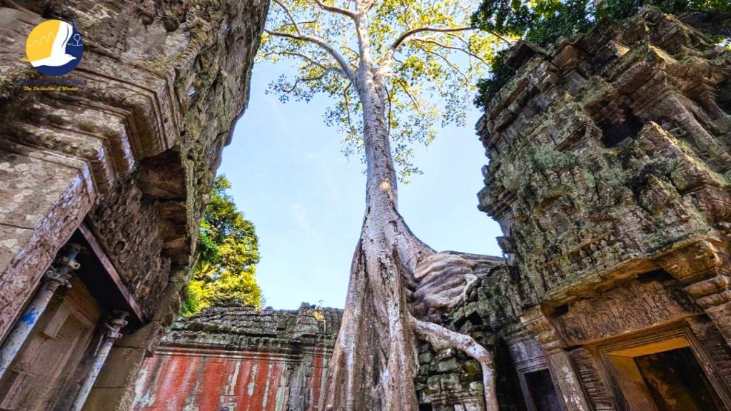 Visiting Angkor Wat in December Will Change How You See Temples Forever