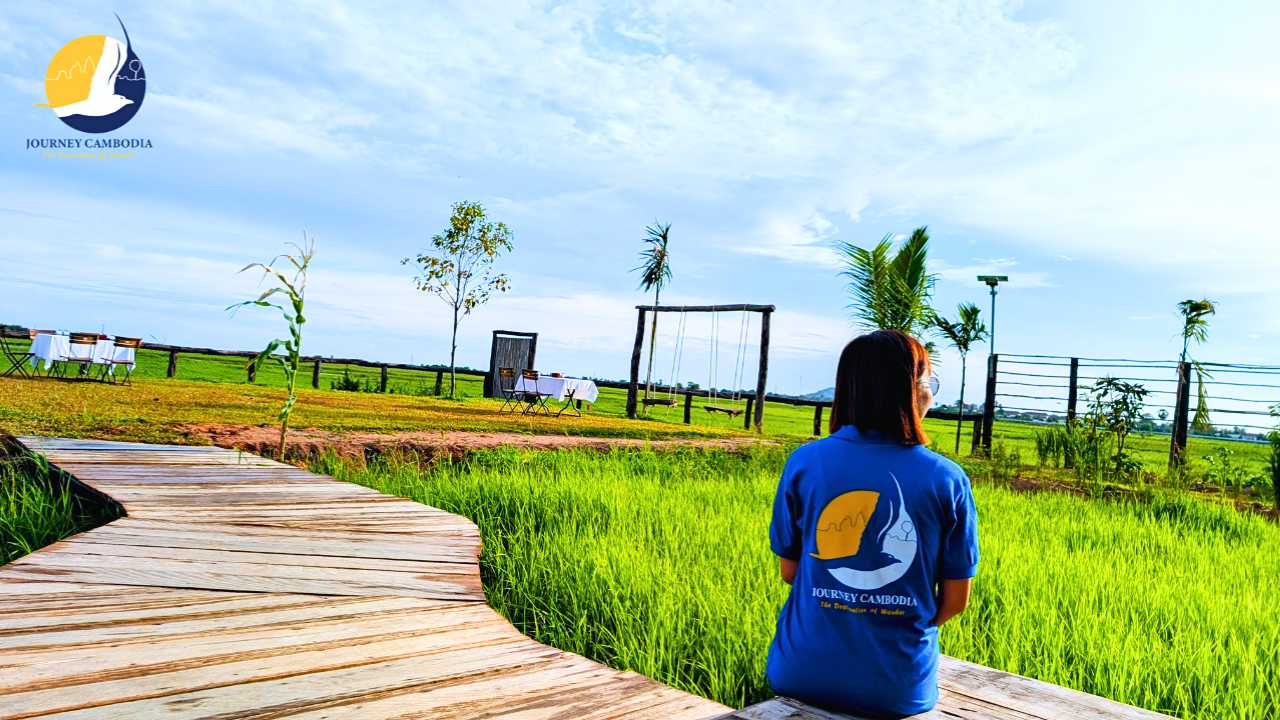 Your Complete Guide to Choosing the Right Angkor Pass