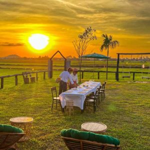 Siem Reap Rice Field Sunset Tour with Home Cooked Dinner