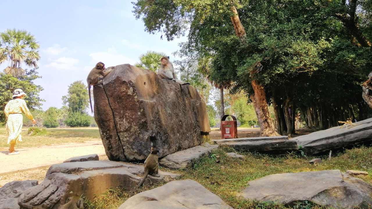 How to See All Four in The Smart Way - Top 4 Temples for First-Time Visitors to Angkor