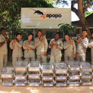 Sightseeing Siem Reap - Meet Life-Saving HeroRATs at APOPO Visitor Center Experience