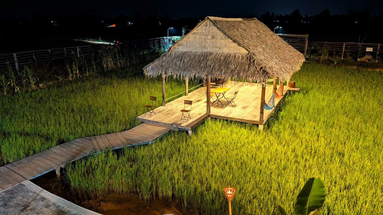 Baitang Siem Reap Rice Fields - Where Locals Go When They Want to Remember Why They Love Cambodia